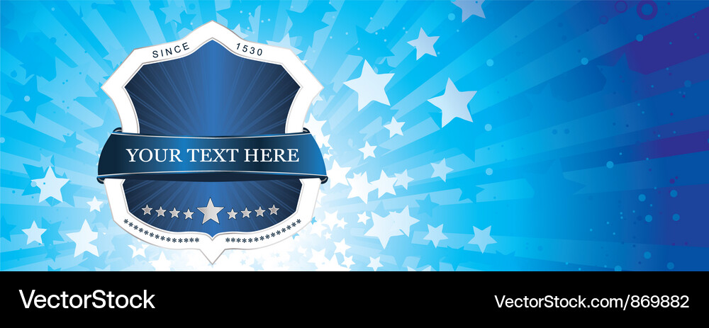 Label with rays Vector Image