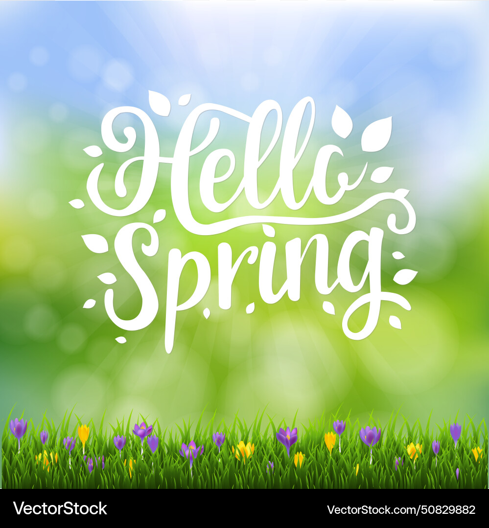 Spring text banner with bokeh and grass vector image
