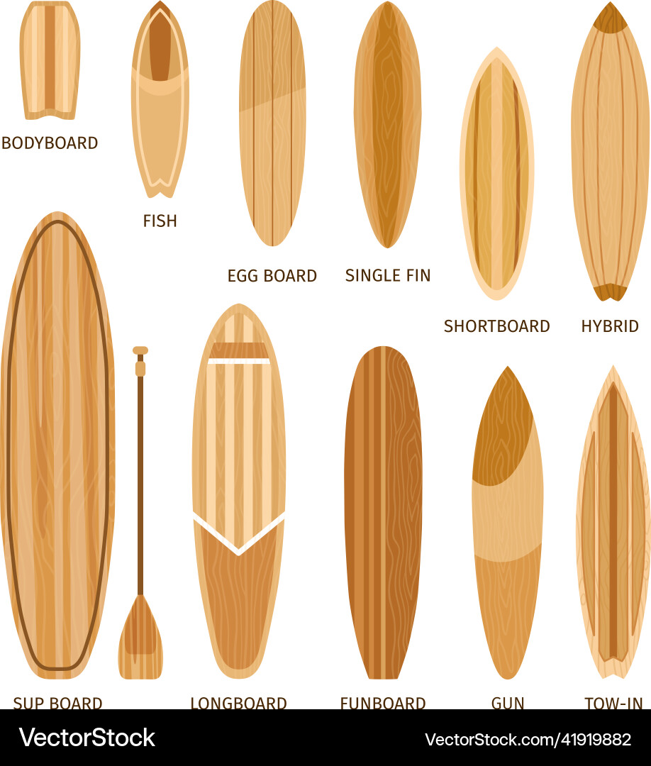 Wooden surfboard sizes and types bodyboard Wooden surfboard sizes and types bodyboard vector image