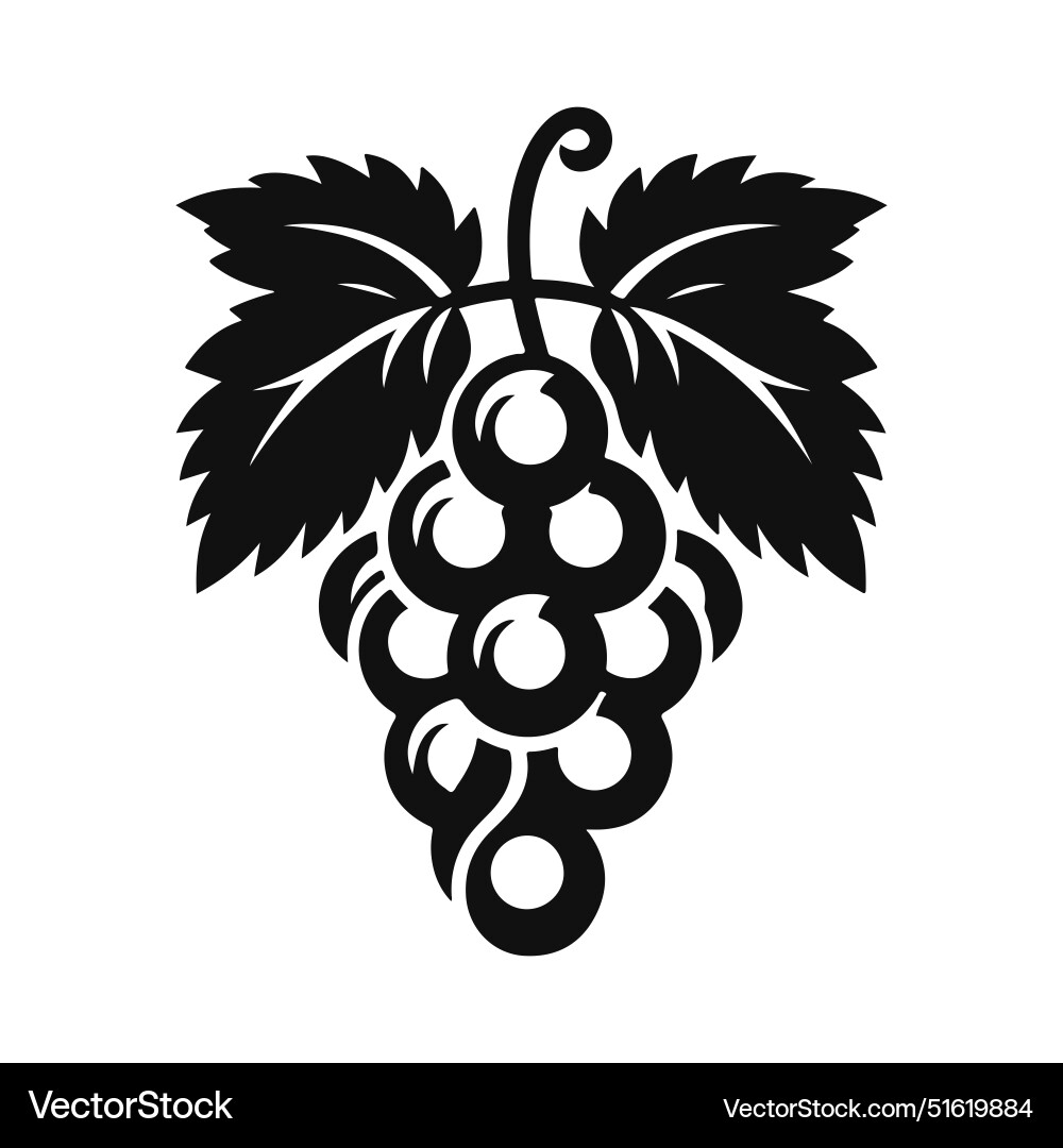 Flat minimal grape silhouette in black and white Vector Image
