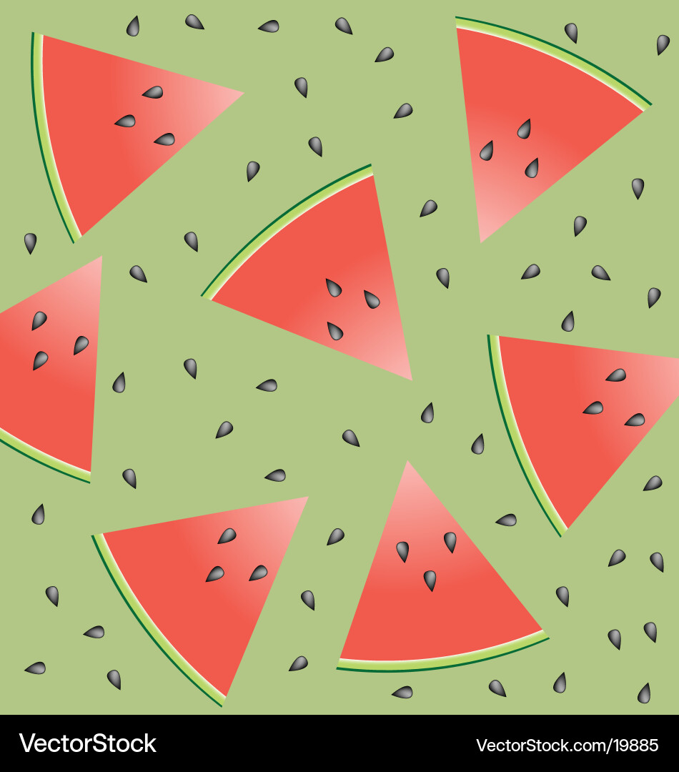 Watermelon and seeds Vector Image