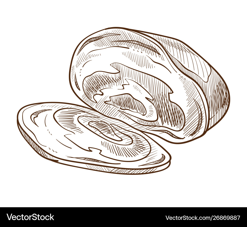 Boiled pork slice with spices isolated sketch Boiled pork slice with spices isolated sketch vector image