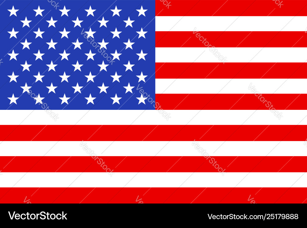 American Flag Icon vector image