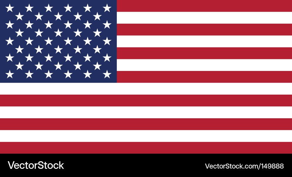 United States Flag vector image