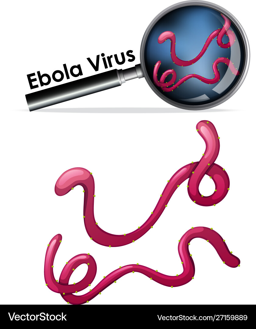 Schließen isolierte Objekt Virus namens ebola Schließen isolierte Objekt Virus namens ebola vektorbild