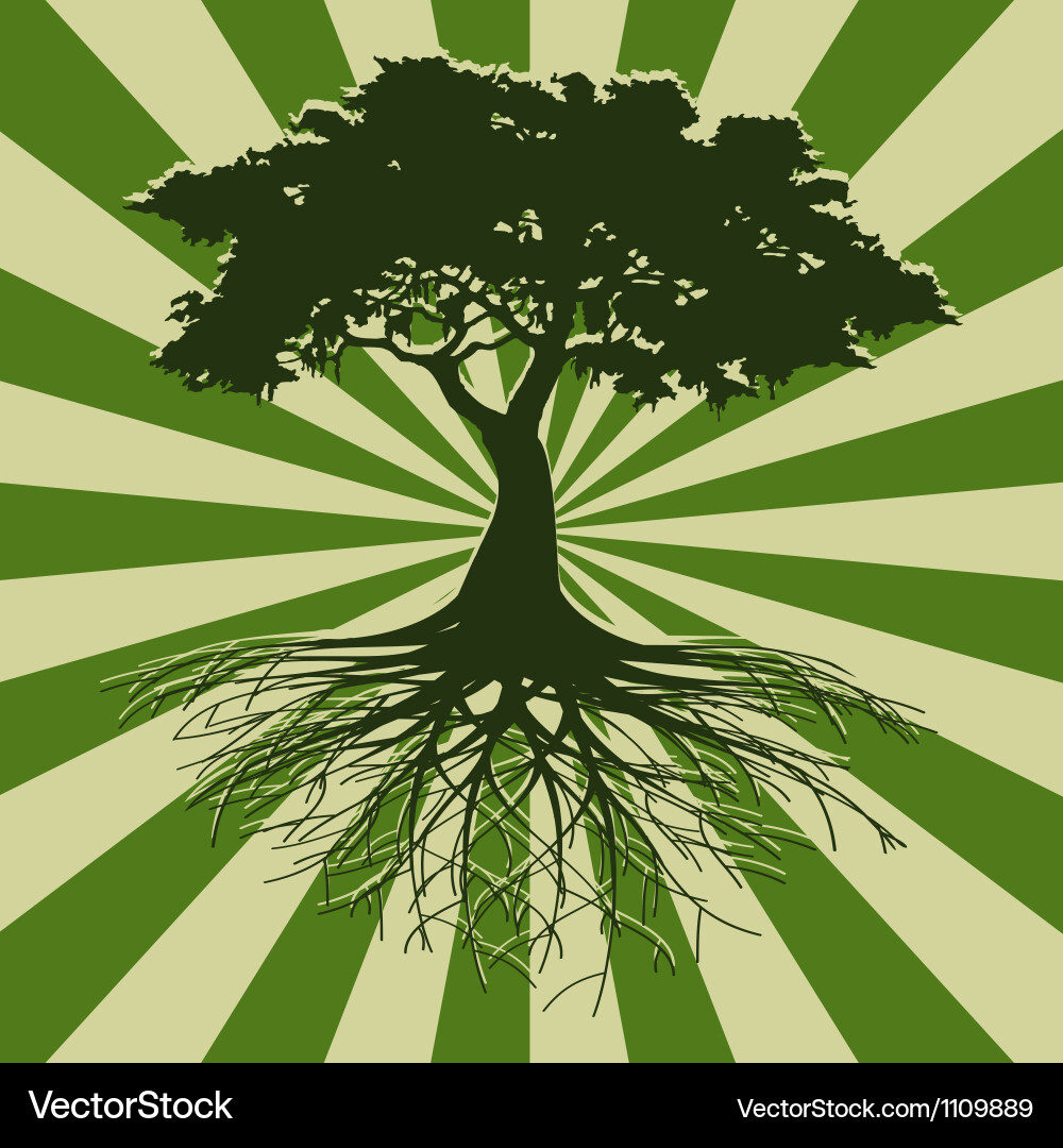 Tree Roots Backdrop vector image