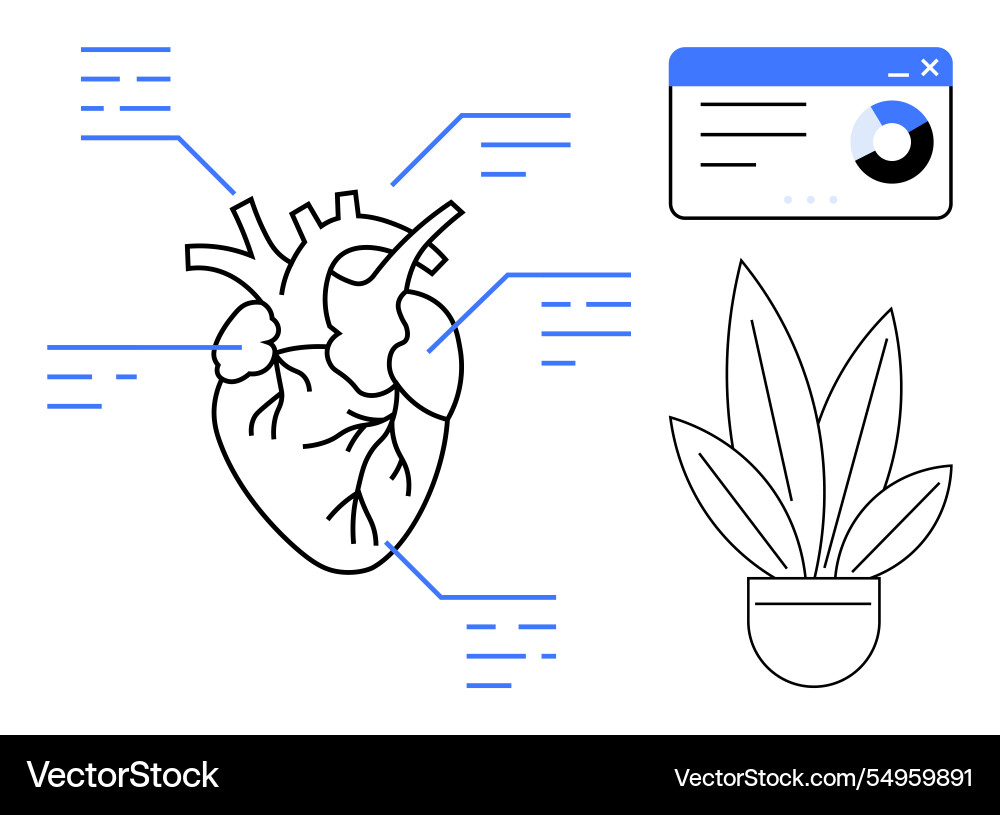Anatomy of a heart with data analysis interface Anatomy of a heart with data analysis interface vector image