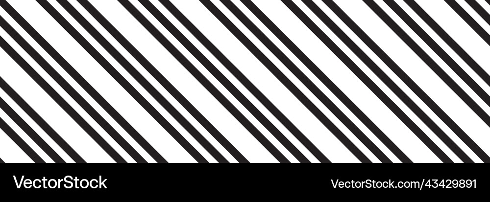 Black and White Diagonal Lines Pattern vector image