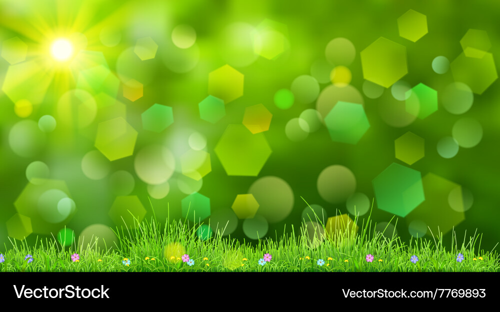 Spring background vector image
