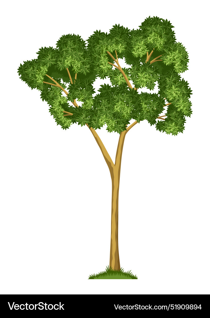 Stage of tree growth large with green Royalty Free Vector