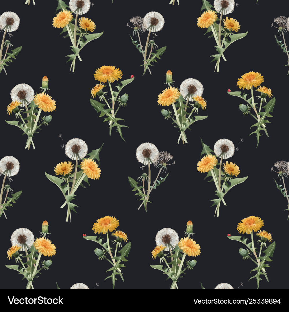 Watercolor Dandelion Pattern vector image