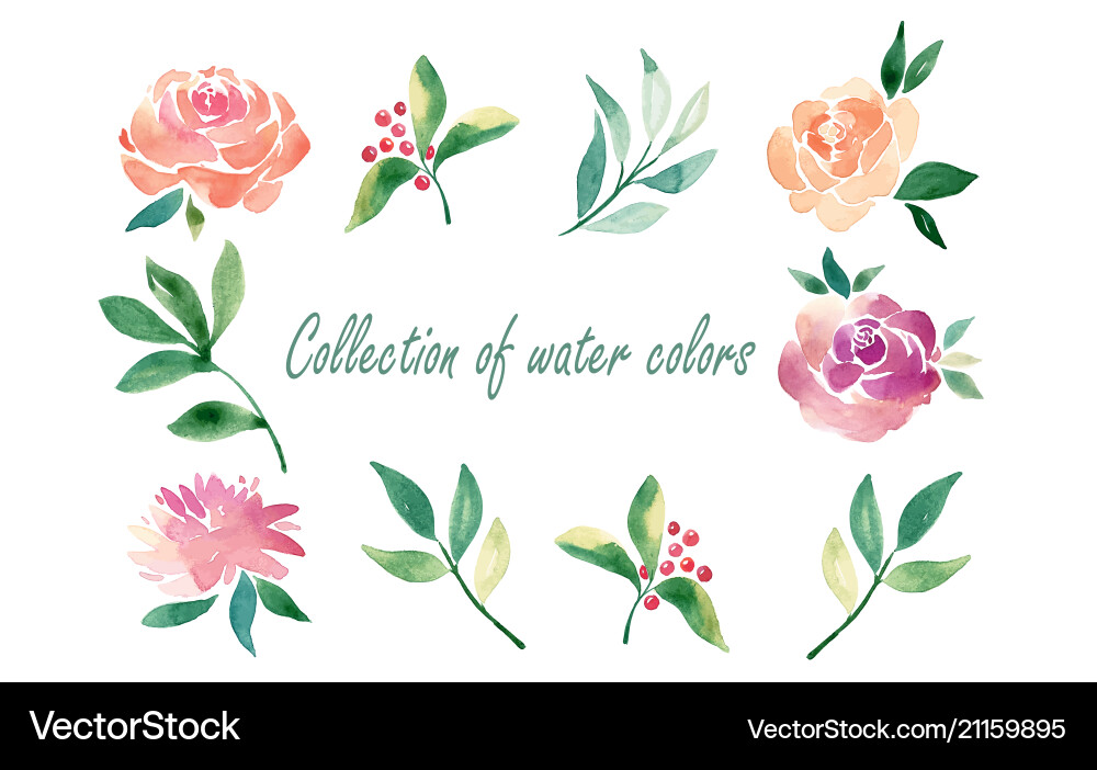 Floral set colorful collection Floral set colorful collection vector image