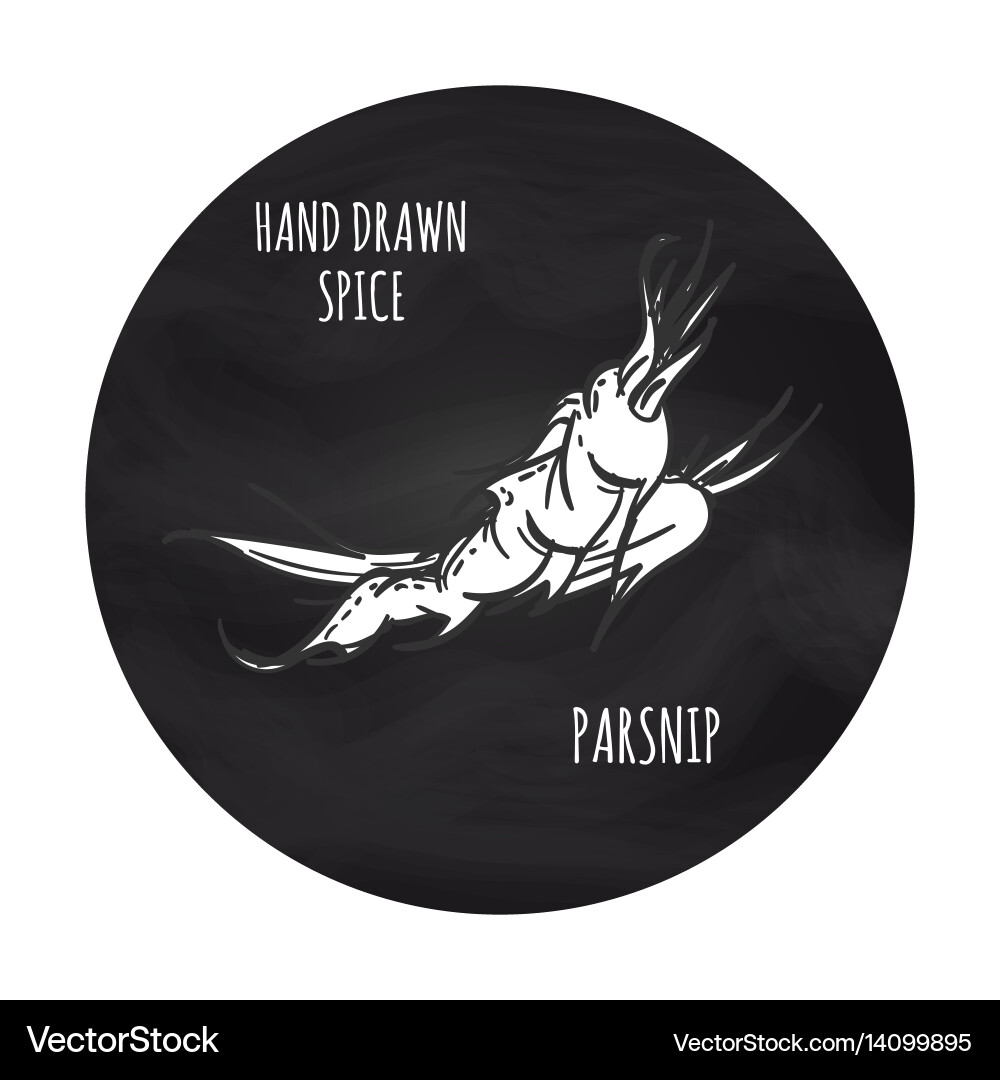 Spice parsnip icon on blakboard backdrop Vector Image