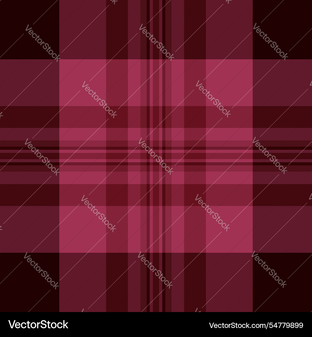 Equal background seamless texture pattern check Vector Image