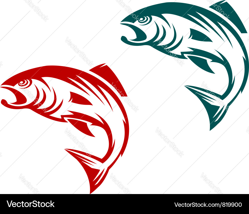 Salmon Fish Icon - Two Variations vector image