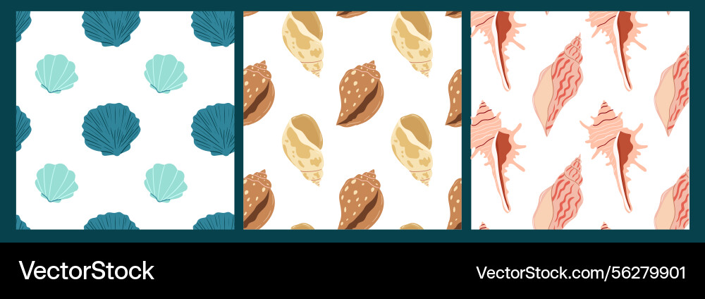 Shell patterns in vibrant colors highlighting Vector Image