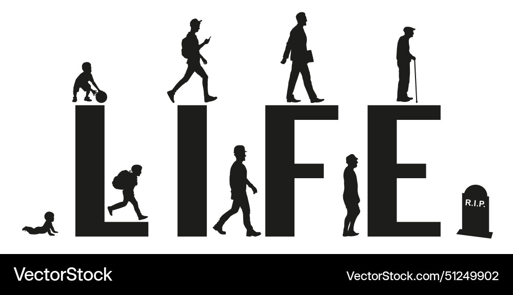 A mans life from birth to death men stages vector image