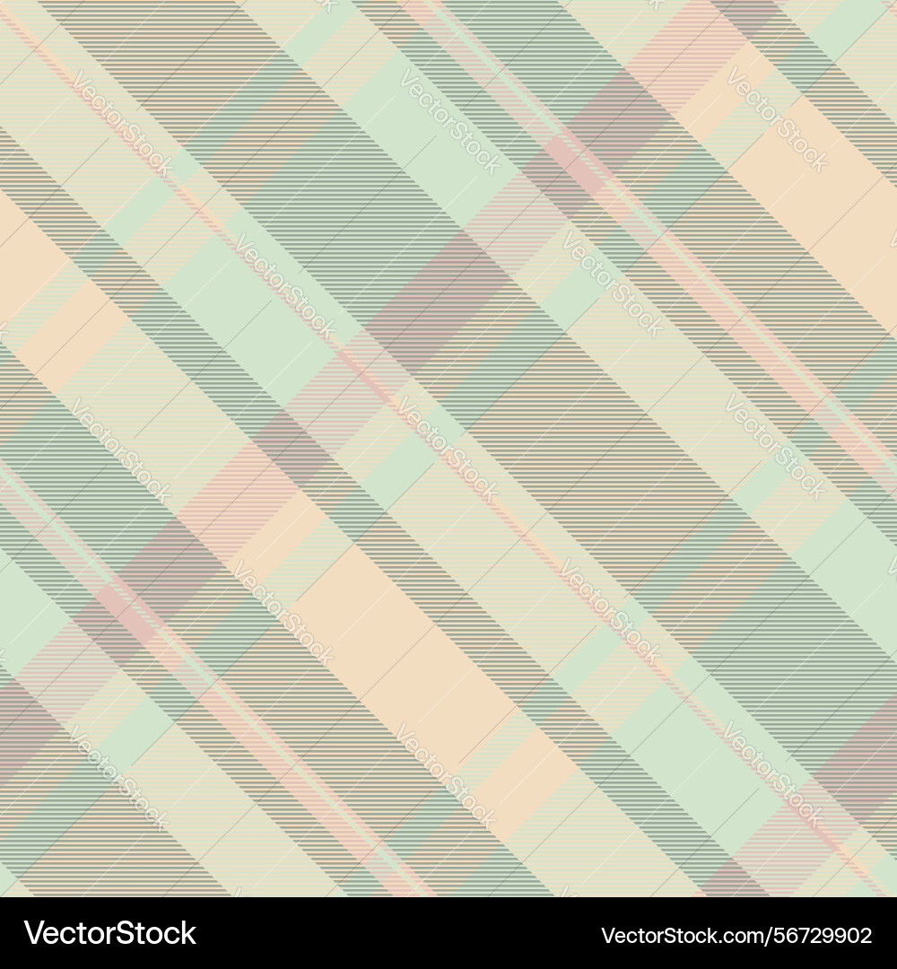 Horizontal pattern textile invite background vector image