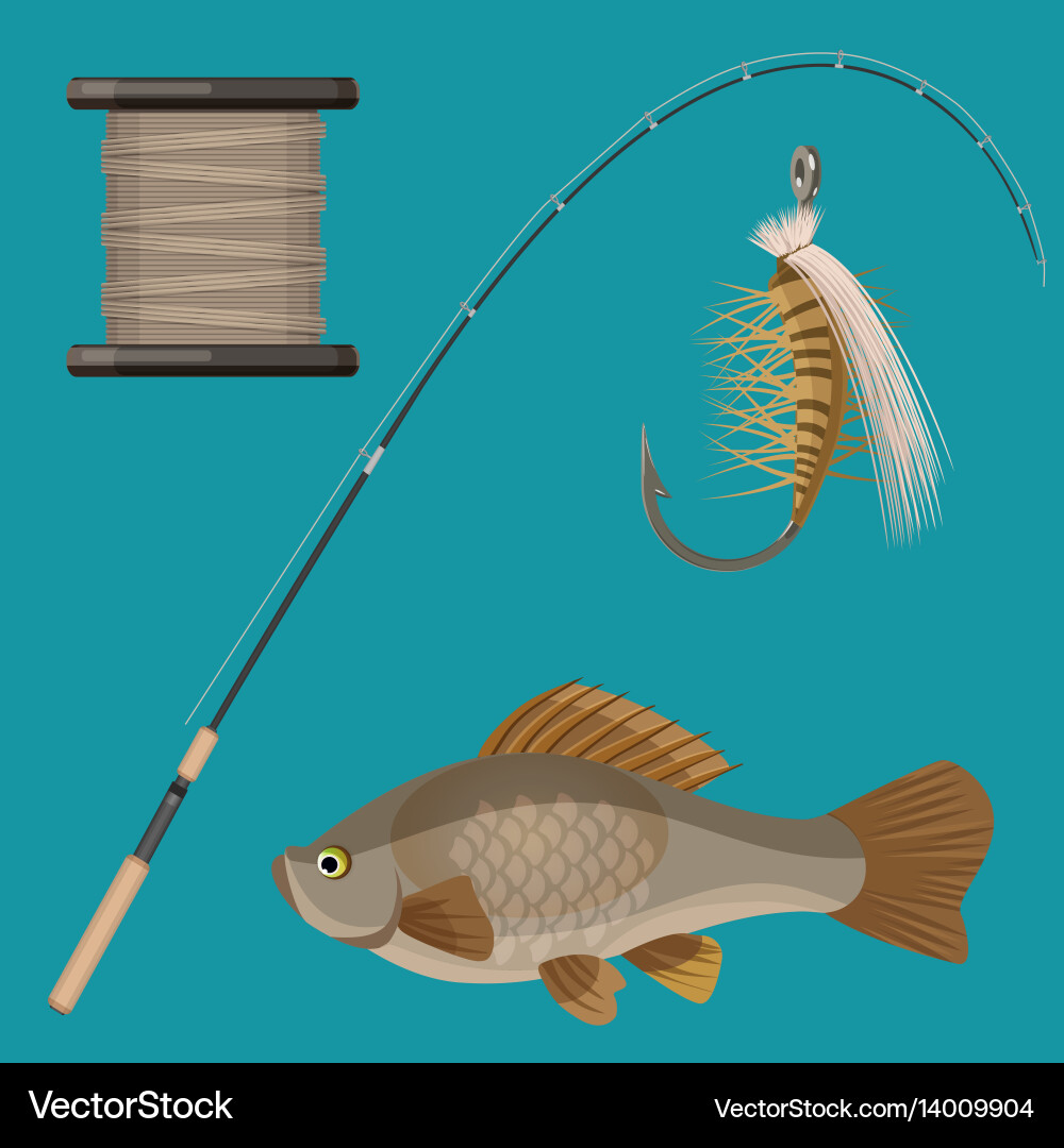 Two hooks bobbin landing net spinning vector image