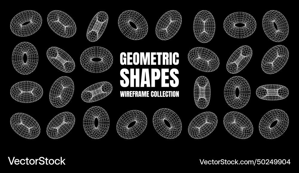 Wireframe shapes lined torus perspective mesh Wireframe shapes lined torus perspective mesh vector image