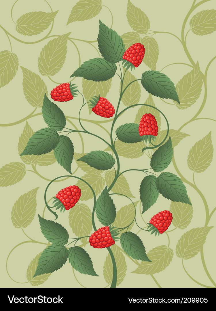 Raspberry Floral Pattern Vector Image