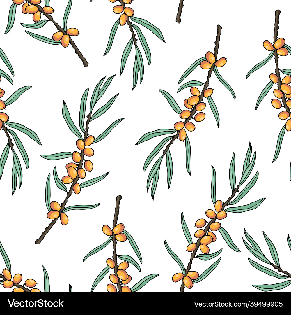 Seamless pattern with drawing sea buckthorn