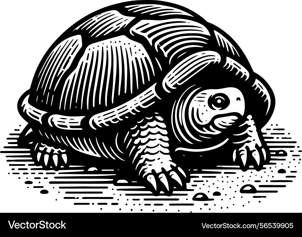 Simple gopher tortoise front view icon vintage Simple gopher tortoise front view icon vintage Vector Image
