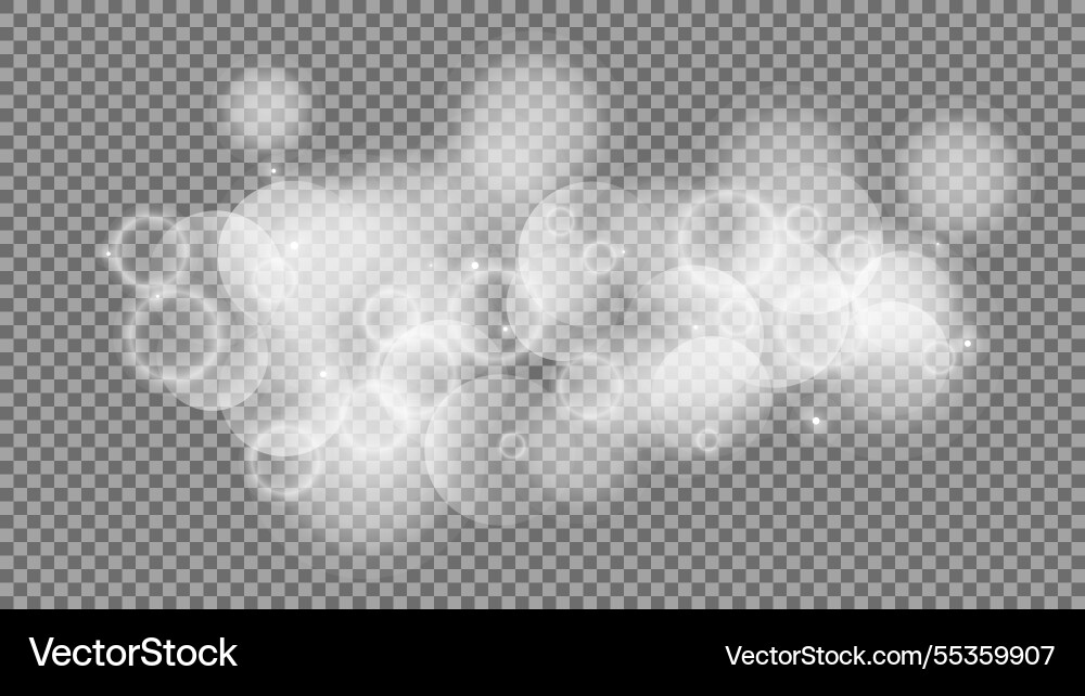 Bokeh circles on transparent background Bokeh circles on transparent background vector image