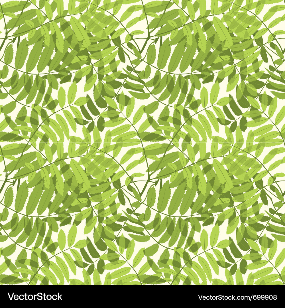 Seamless pattern Vector Image