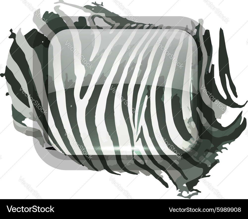 Zebra print for your design Vector Image