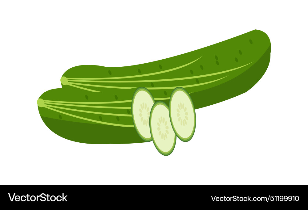 Cucumber design Cucumber design Vector Image