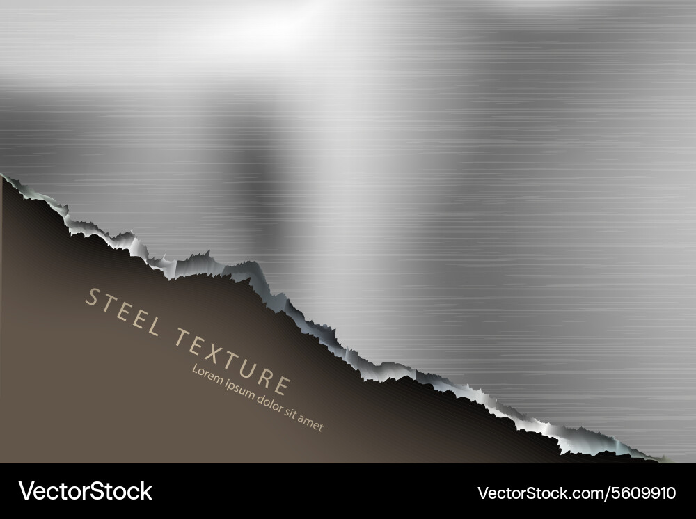 Template for the text from metall background Vector Image