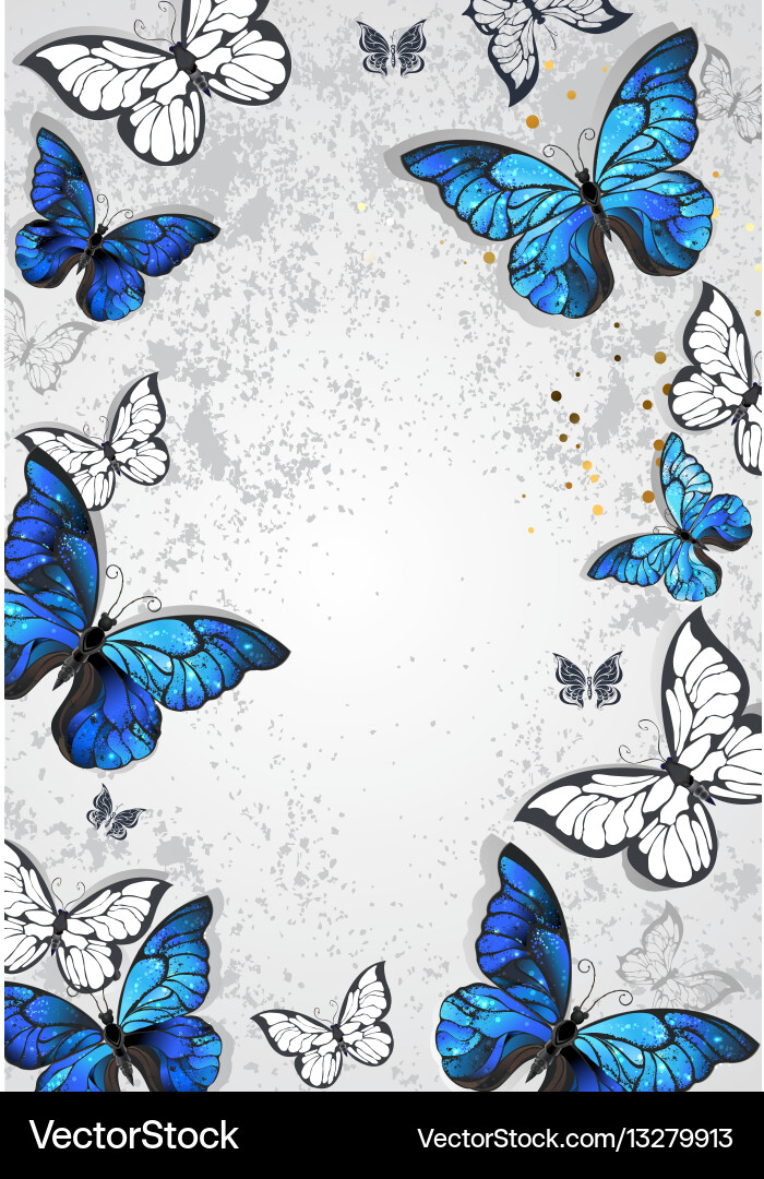 Frame with butterflies morpho vector image