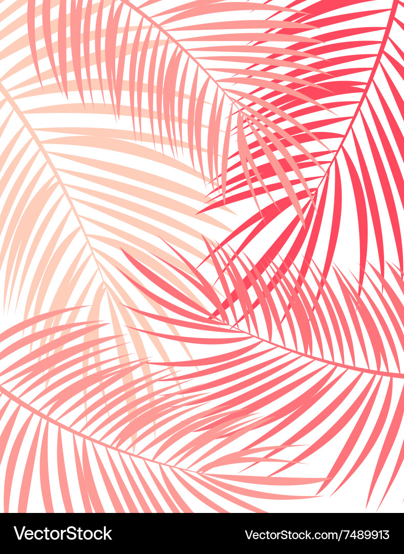 Tropical Palm Leaf Background Vector Image