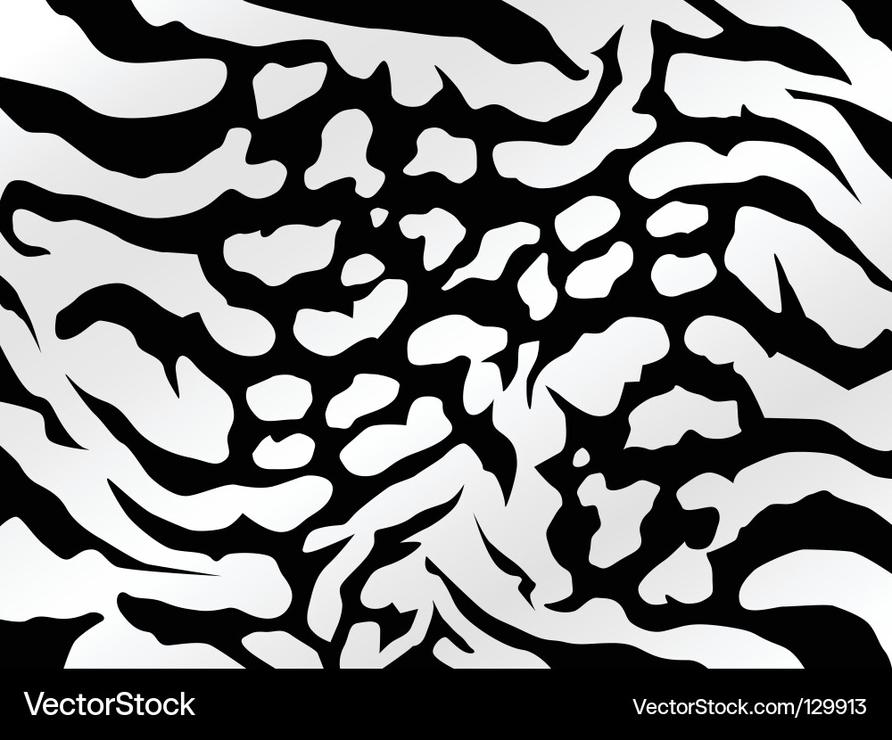Zebra Pattern Background Vector Image