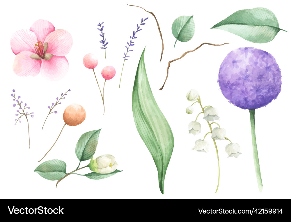 Set of floral watercolor vector image