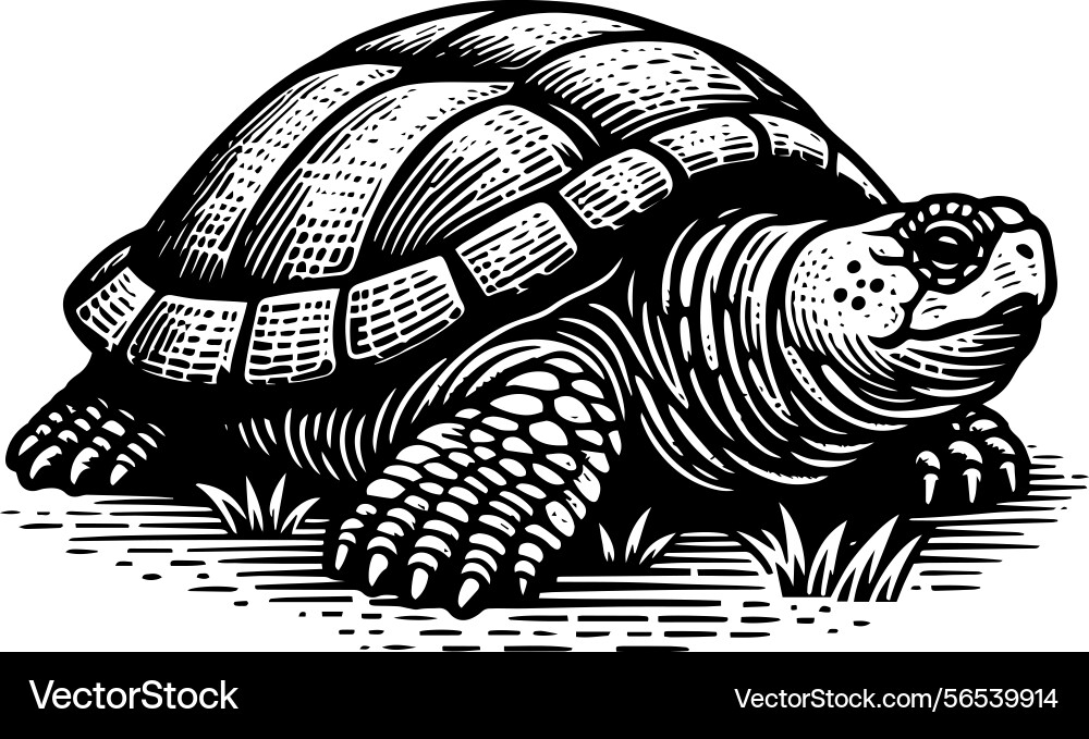 Simple gopher tortoise front view icon vintage Vector Image