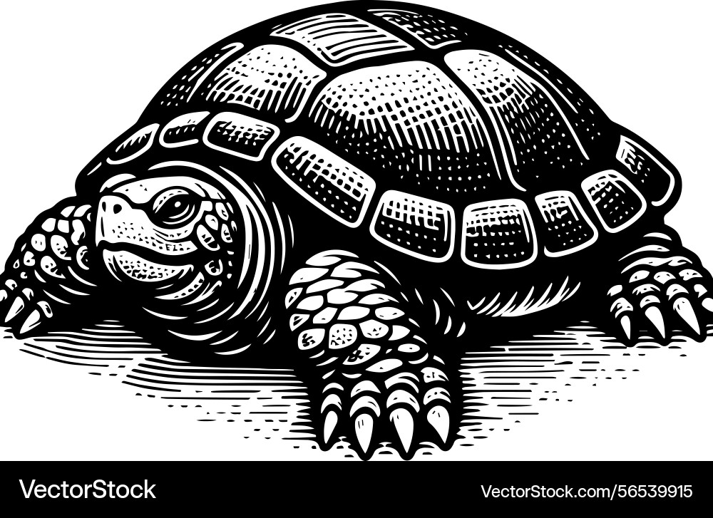 Simple gopher tortoise front view icon vintage Vector Image