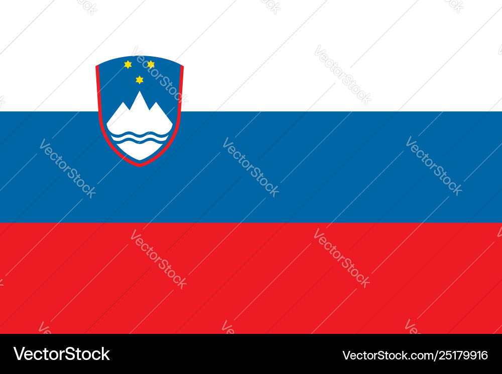 Flag rectangular shape Flag rectangular shape vector image