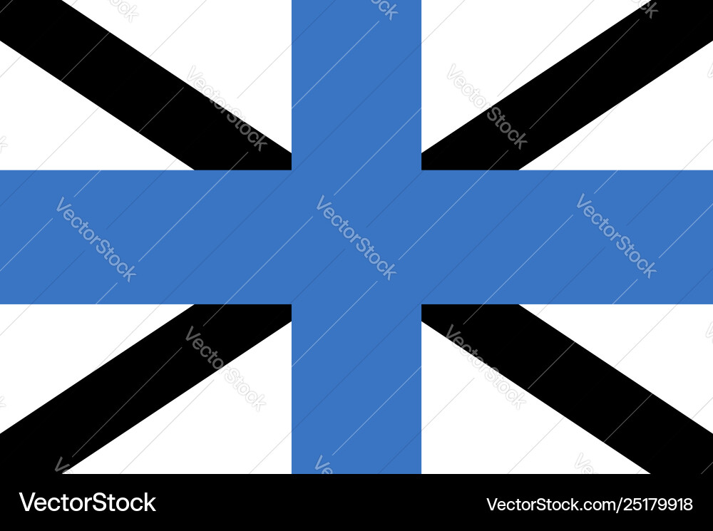 Flag rectangular shape vector image