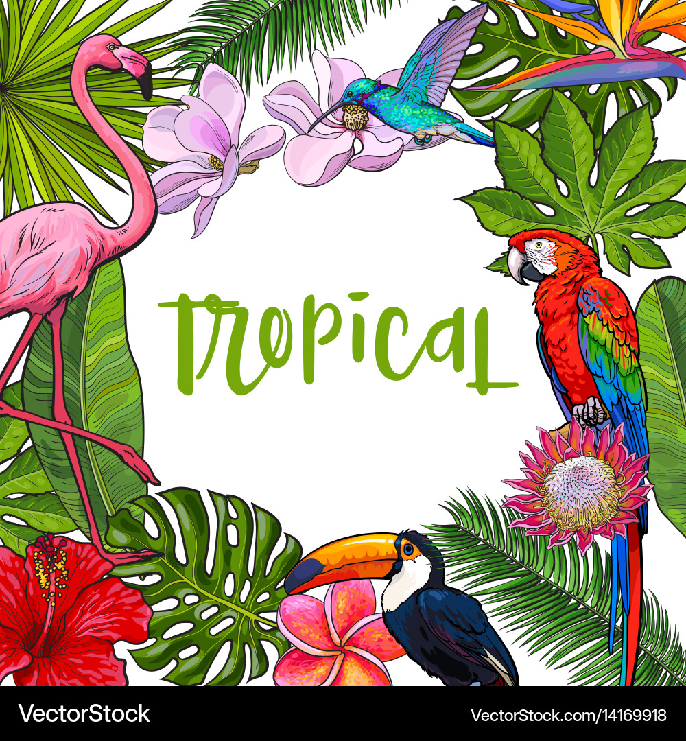 Tropical Palm Leaves and Birds Vector Image
