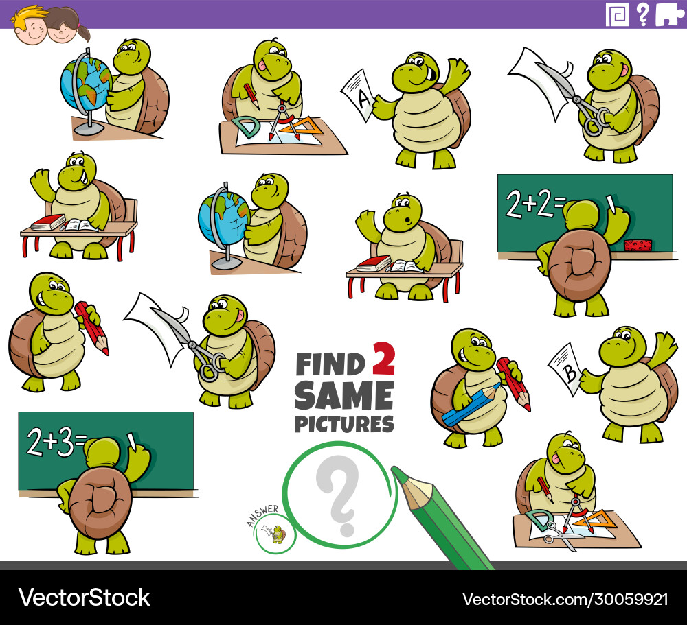 Find Two Same Turtle Kids Game vector image