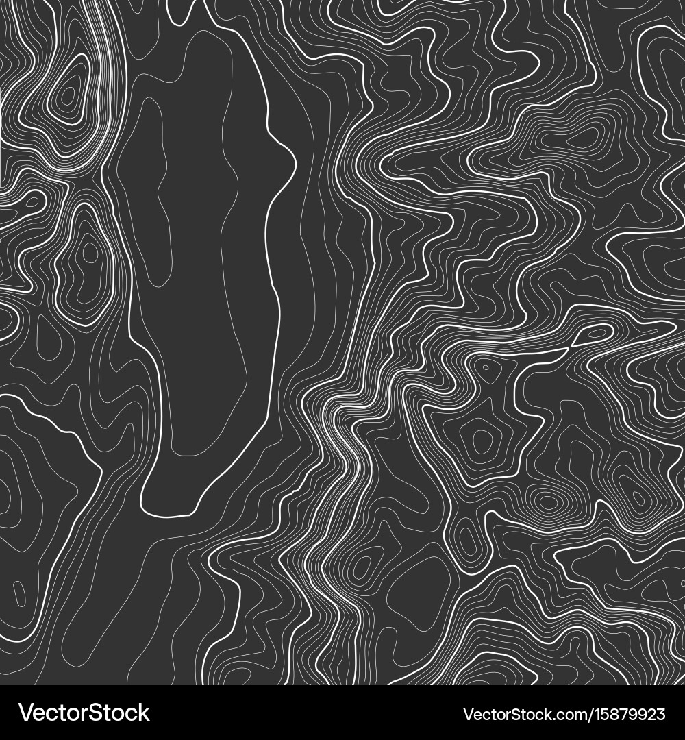 Topographic map background with space for copy vector image