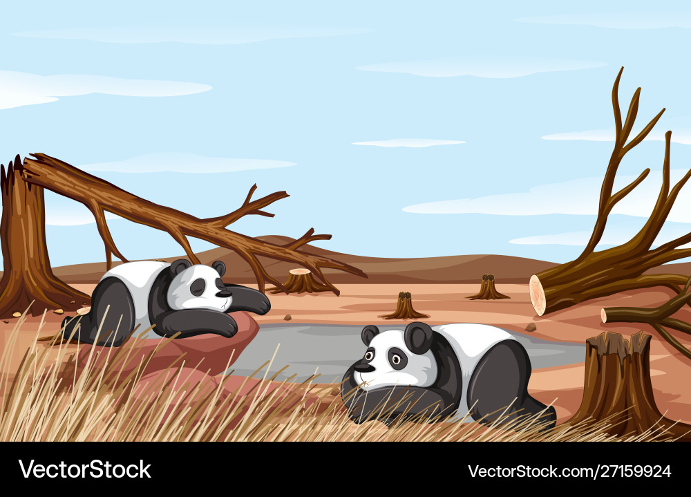 Background scene with two pandas dying Background scene with two pandas dying vector image