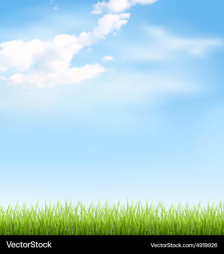 Grüne Gras Rasen mit blauen Wolken Vektorbild
