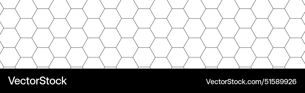 Honeycomb pattern with hexagon mesh texture bee Honeycomb pattern with hexagon mesh texture bee vector image