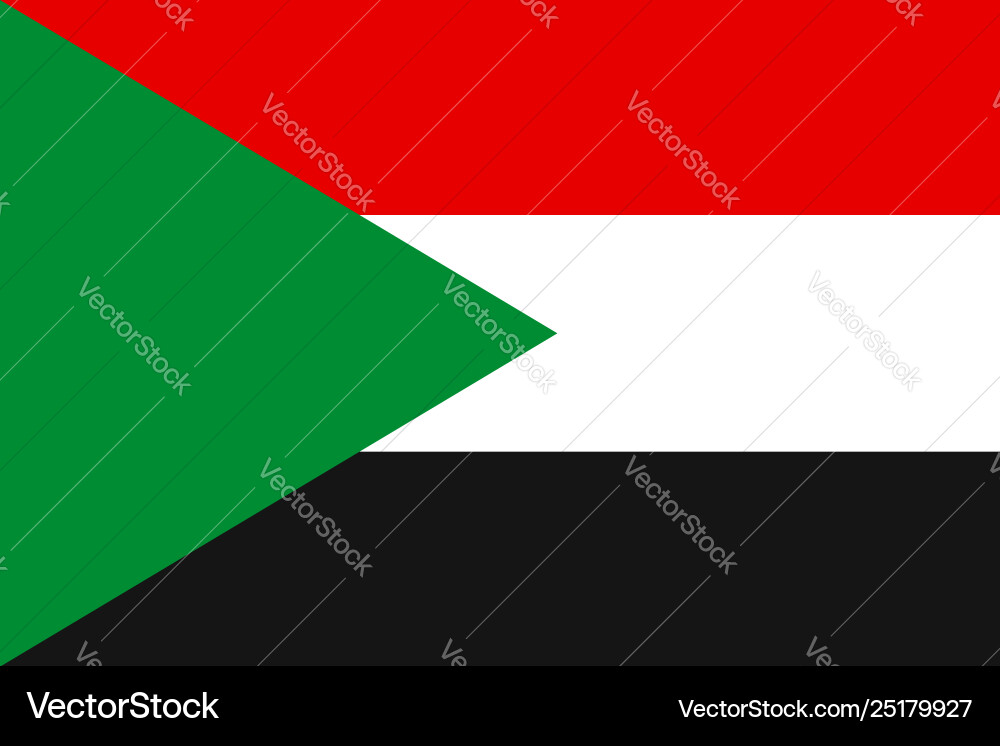 Flag rectangular shape Vector Image