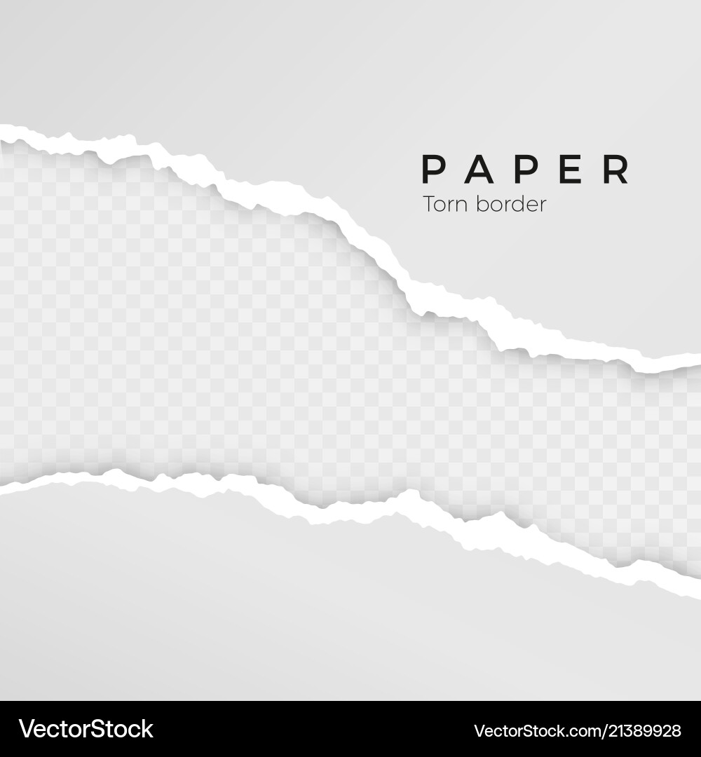Torn Paper Edge Texture vector image