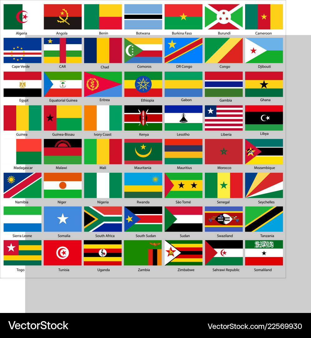 African Flags Collection vector image