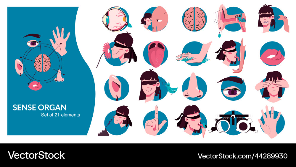 Sense organ people flat composition set vector image